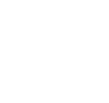 Championnats analysés